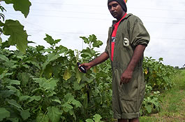 Agricultural Development